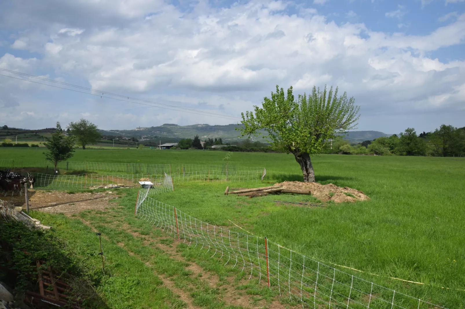 Cottage les Bombis-View summer