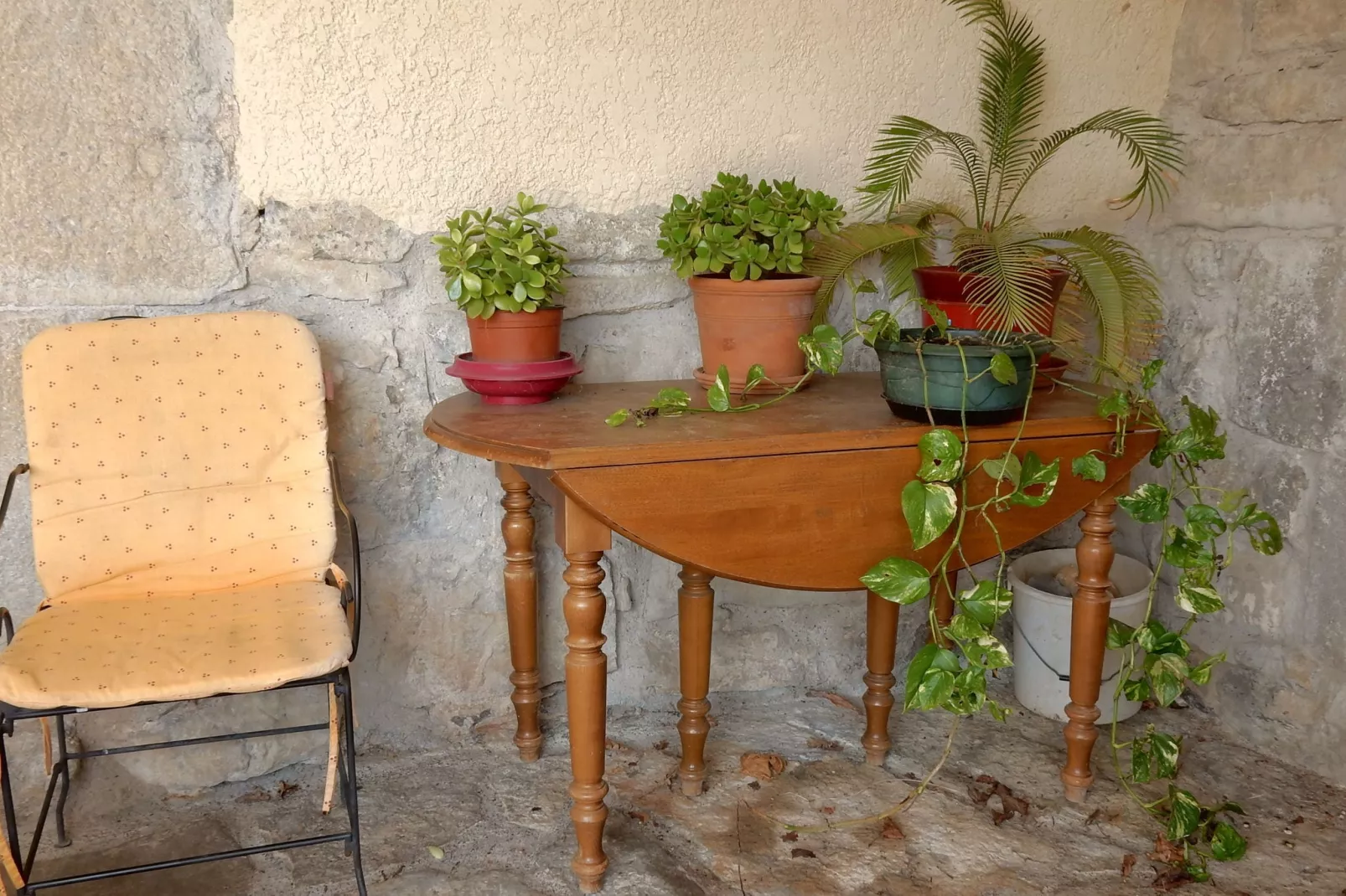 Appartement de plain pied-Atmosphere