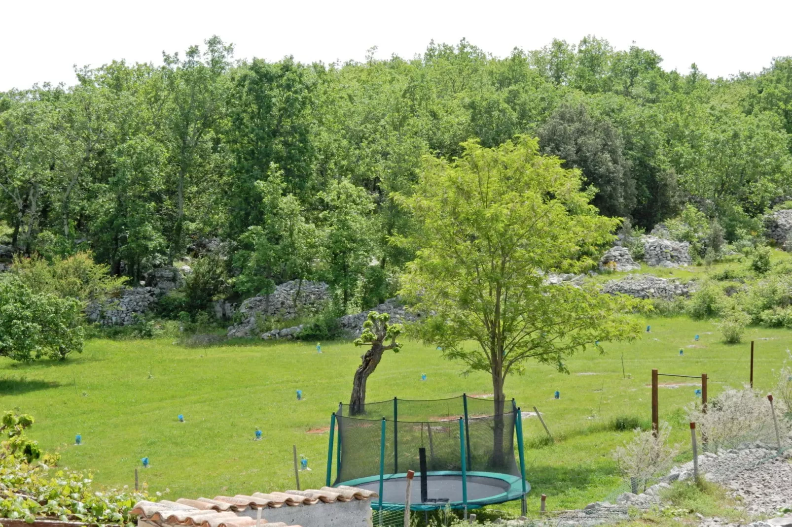 Gite avec mezzanine-Gardens summer