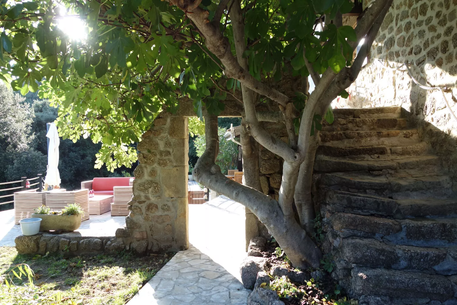 Maison de vacances - Dunière-sur-Eyrieux-Gardens summer