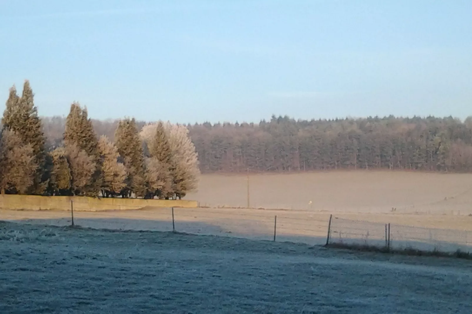 La Petite villa-Jardin d'hiver