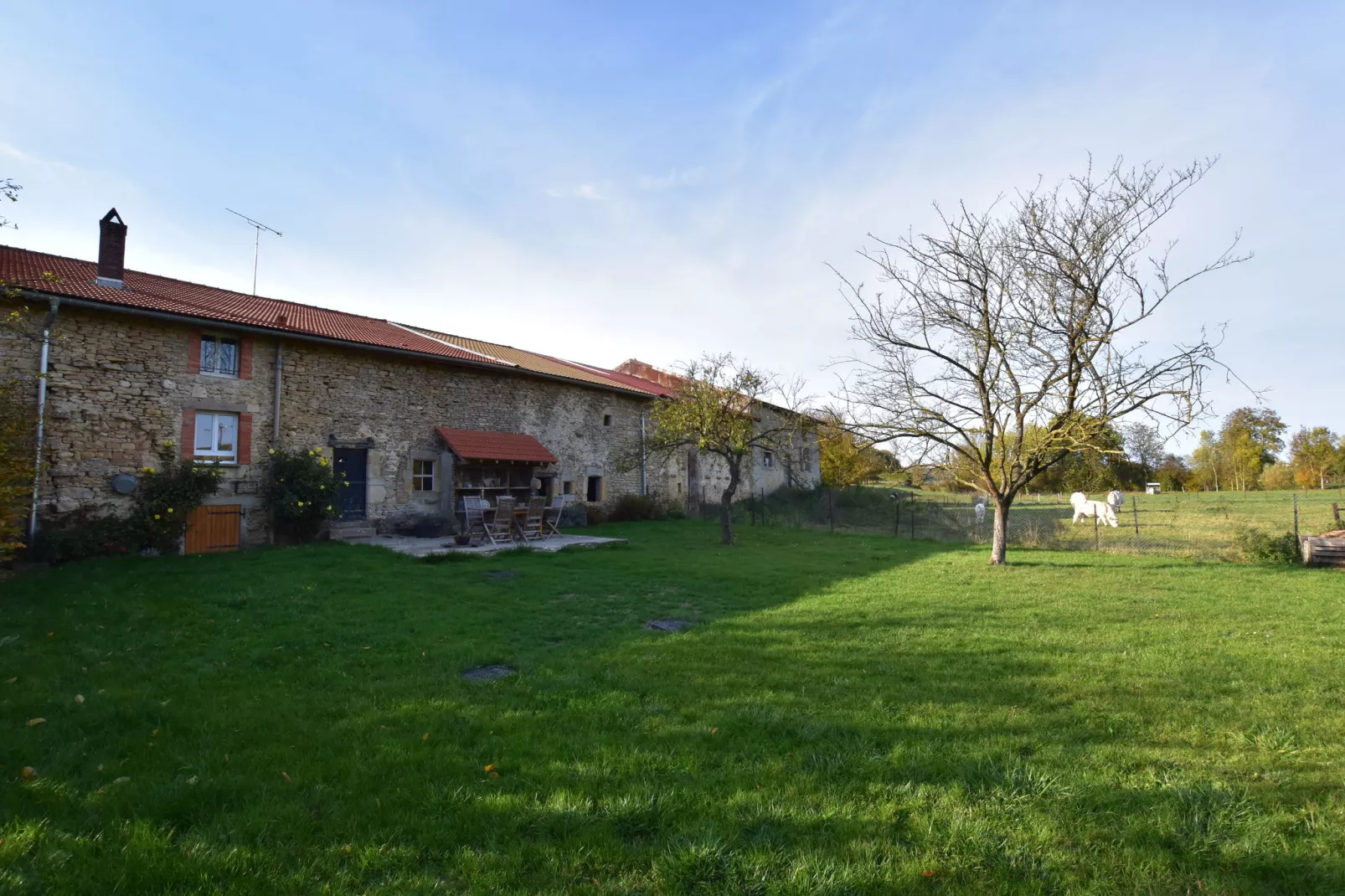 Ferme Remy-Gardens summer
