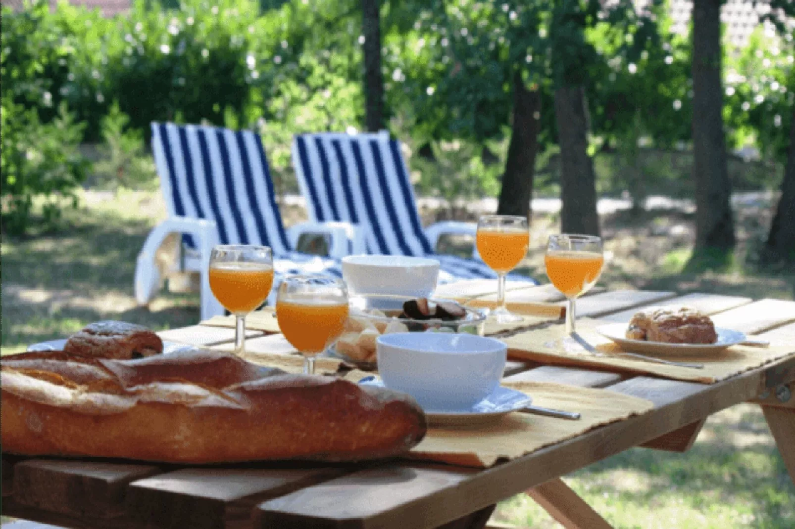 Villa Campagne Chateau Cazalares-Jardin d'été