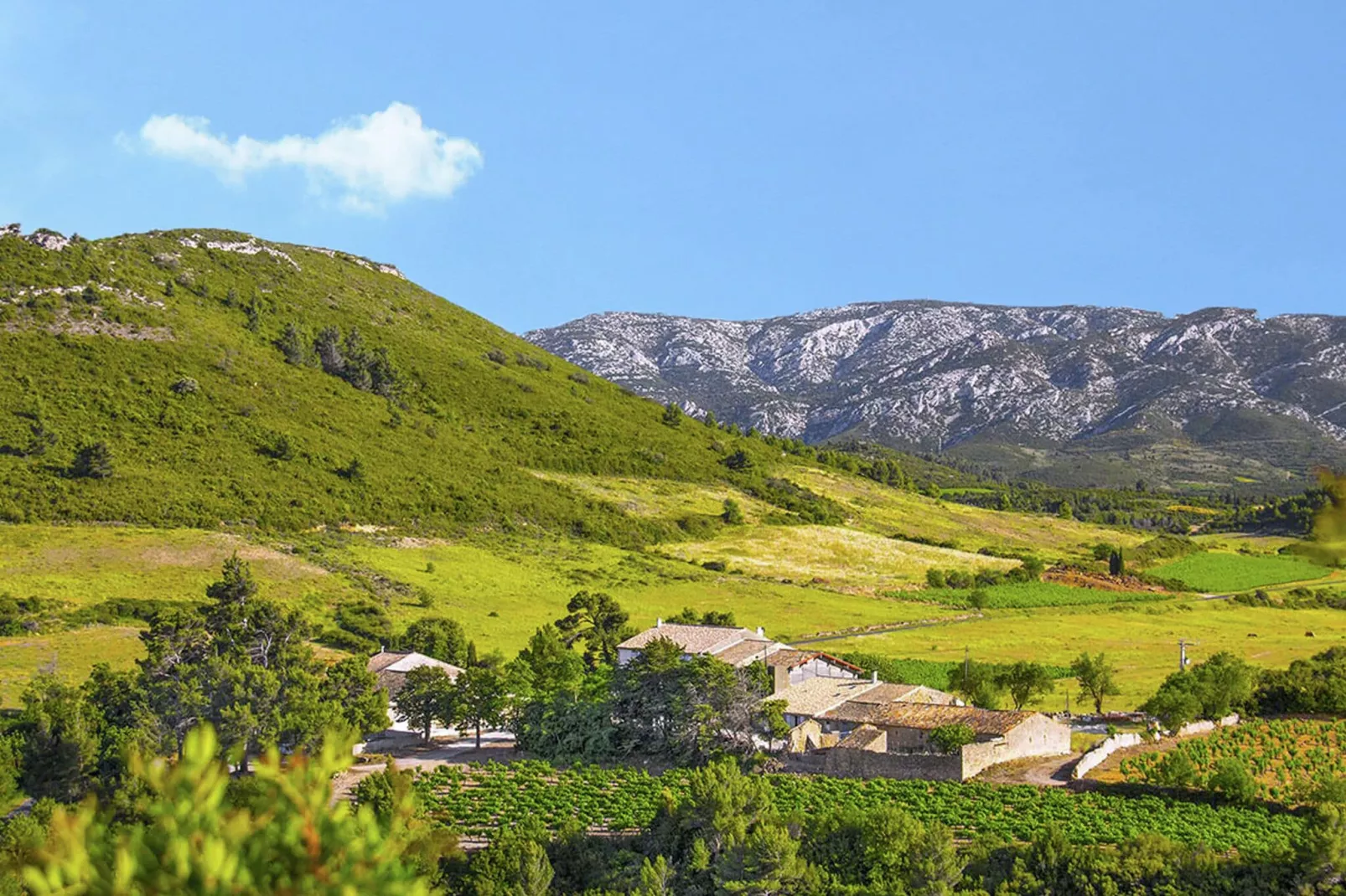 Gîte de luxe dans les vignes 3-Areas summer 5km