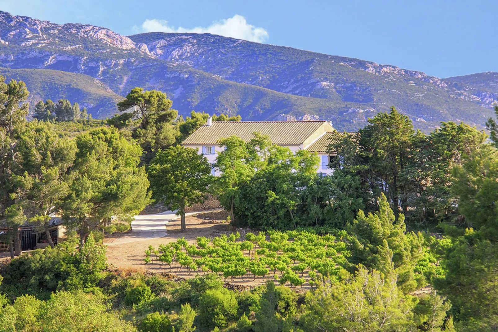 Gîte de luxe dans les vignes 3-Areas summer 5km