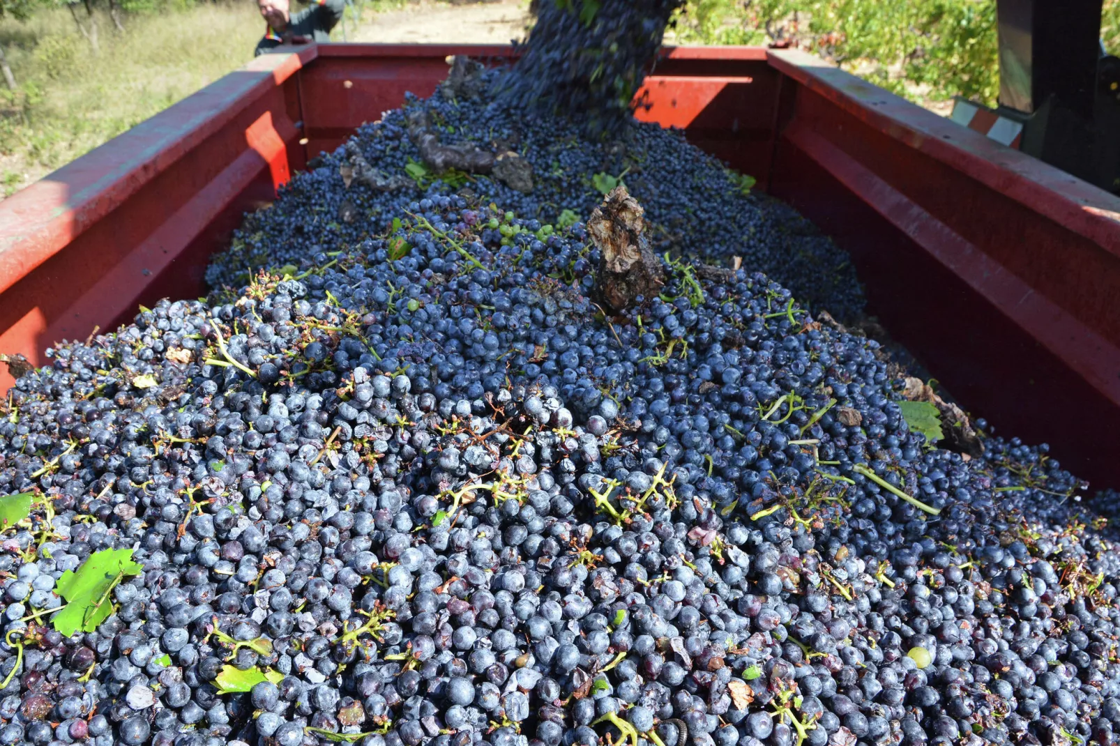 Gîte de luxe dans les vignes 4-Atmosphere