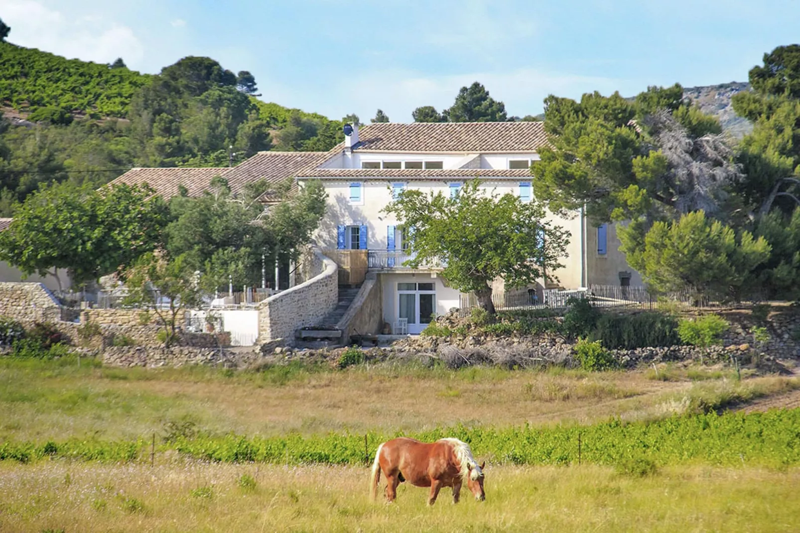 Gîte de luxe dans les vignes 5