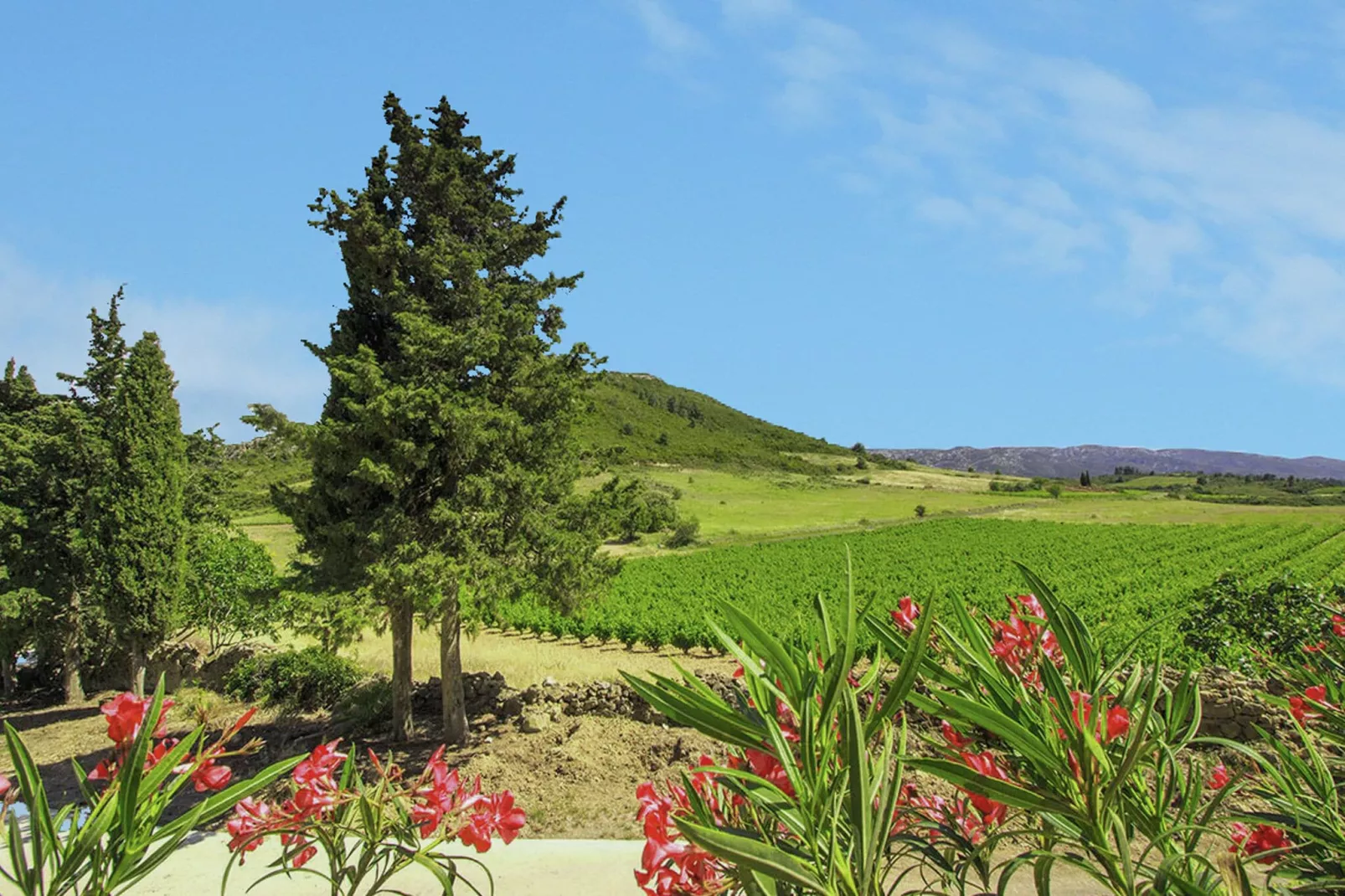 Gîte de luxe dans les vignes 5-Areas summer 1km