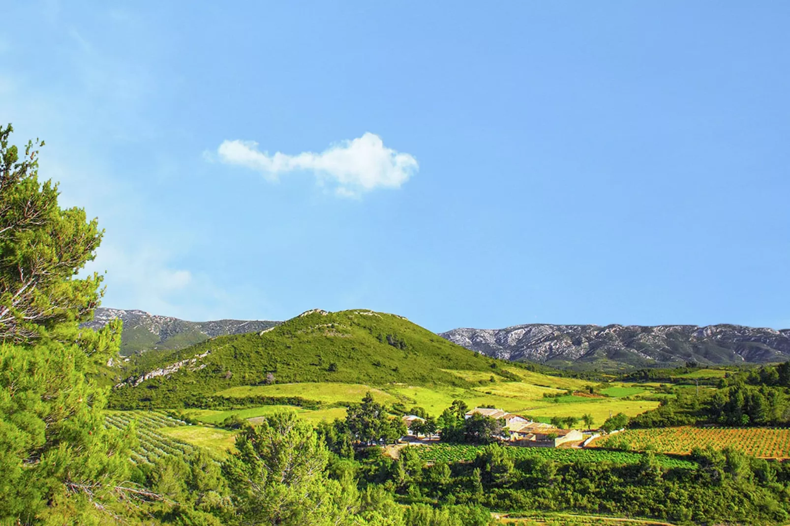 Gîte de luxe dans les vignes 5-Areas summer 5km
