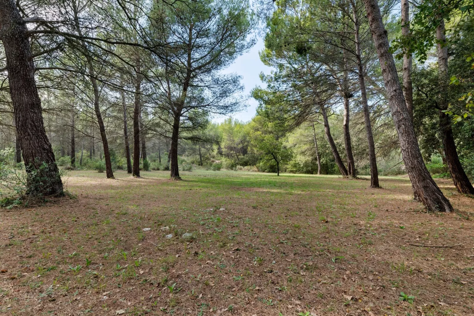Lambesco-Areas summer 1km