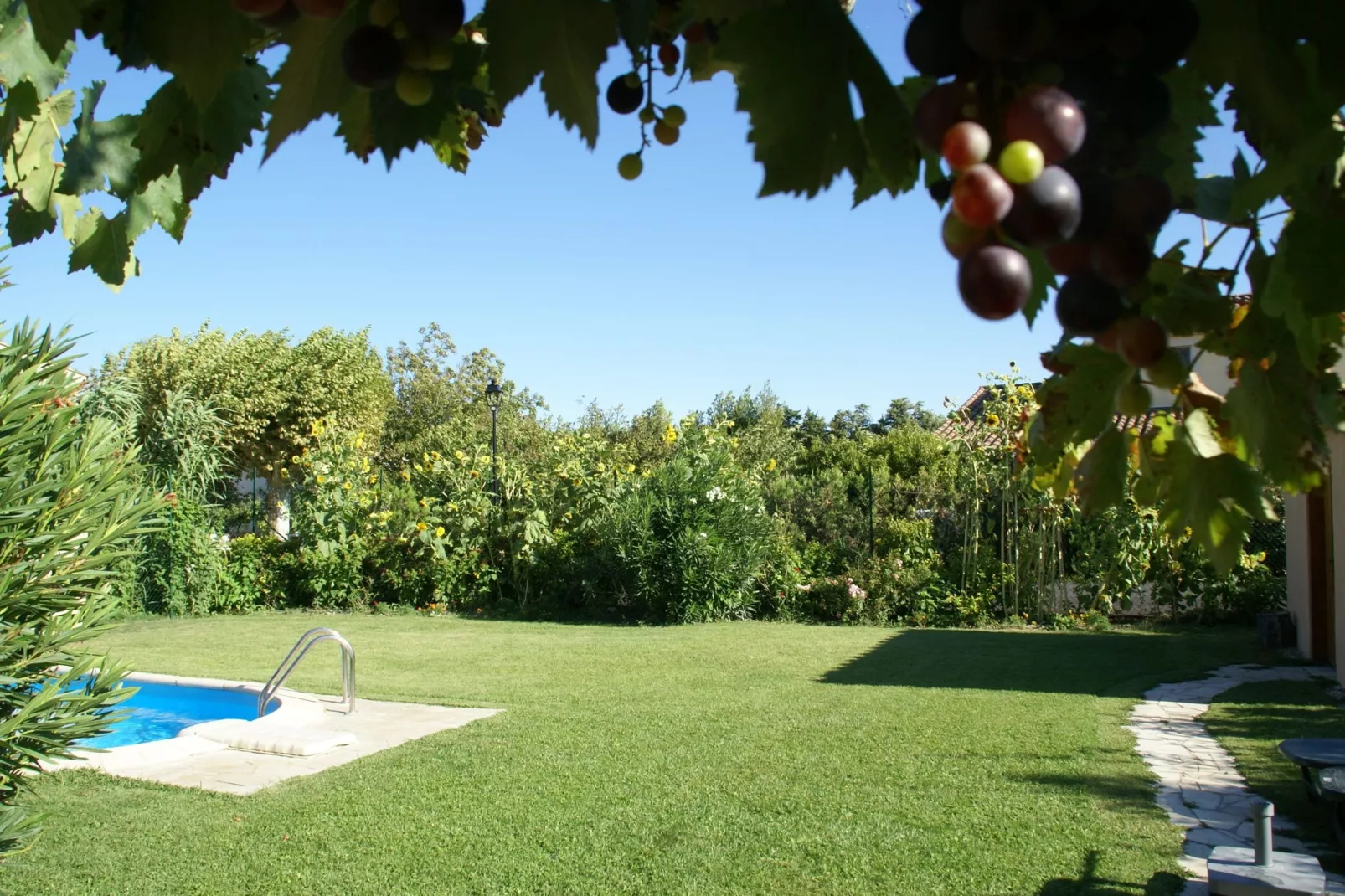Noves-Gardens summer
