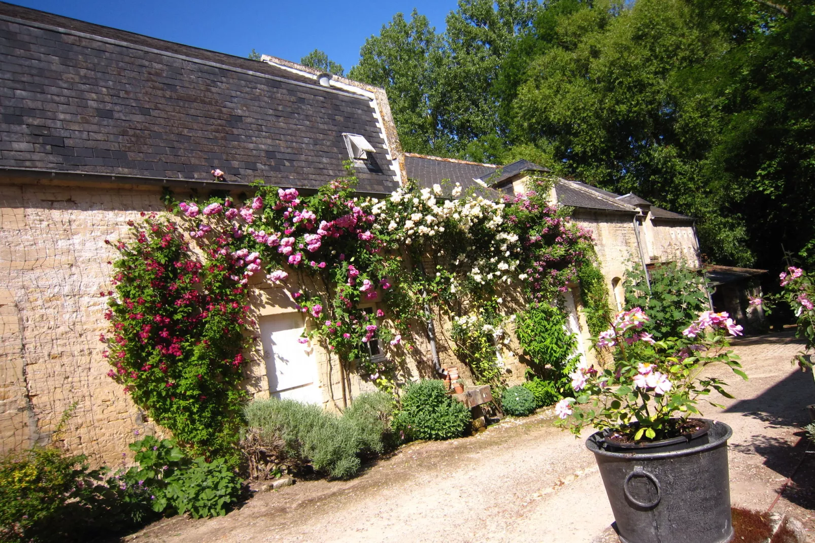 La Grange du Château 2 pers-Exterior summer