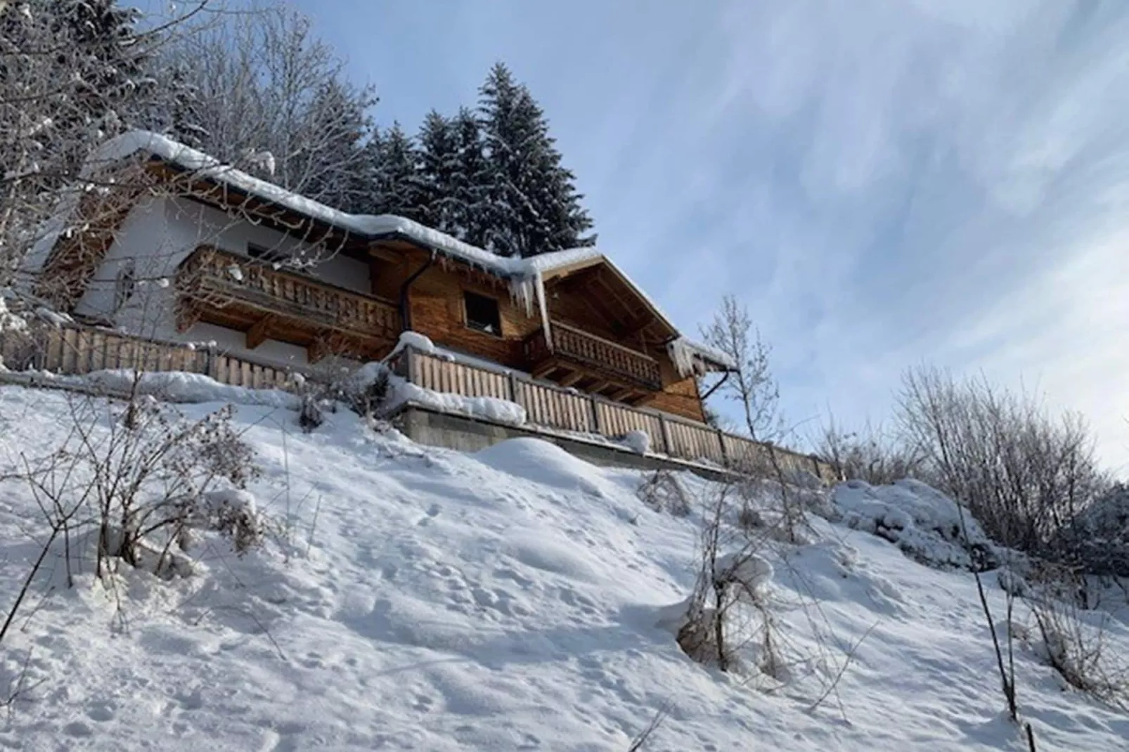 Chalet Salzach-Exterior in winter