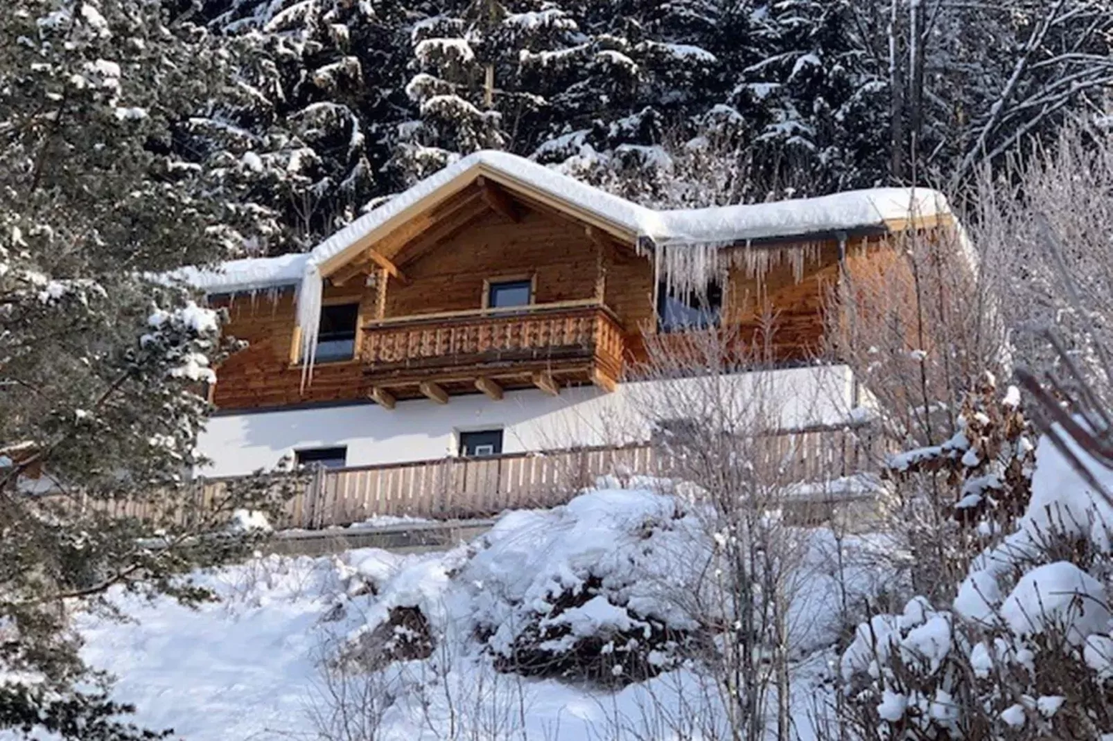 Chalet Salzach-Exterior in winter