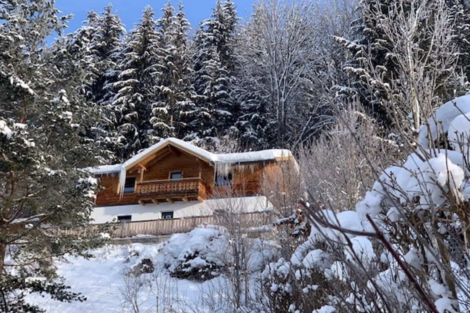 Chalet Salzach-Exterior in winter