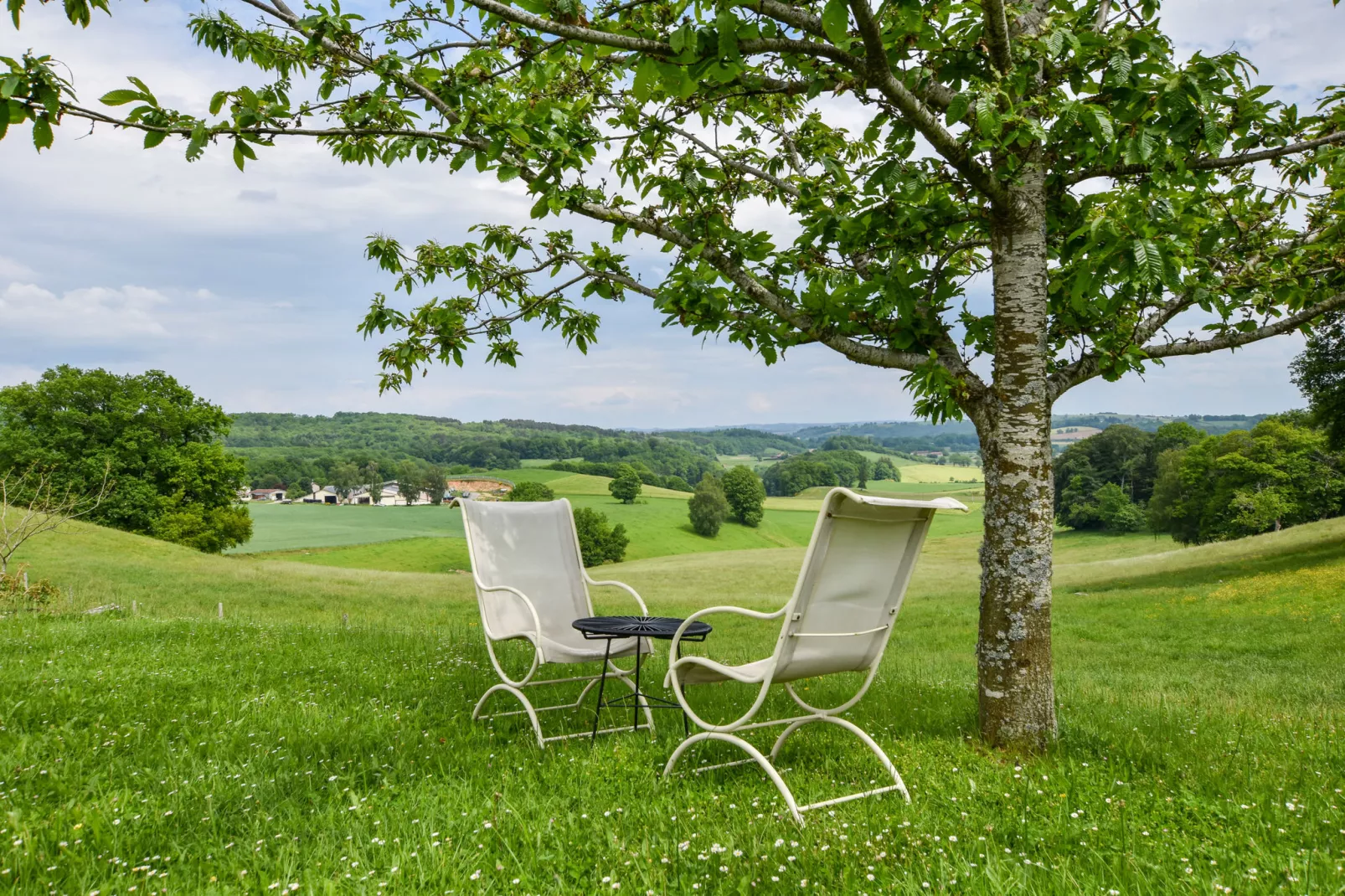 Le domaine d'Hypolite-Gardens summer