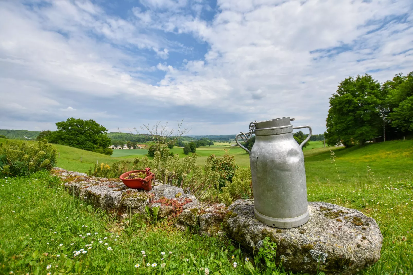 Le domaine d'Hypolite-Gardens summer