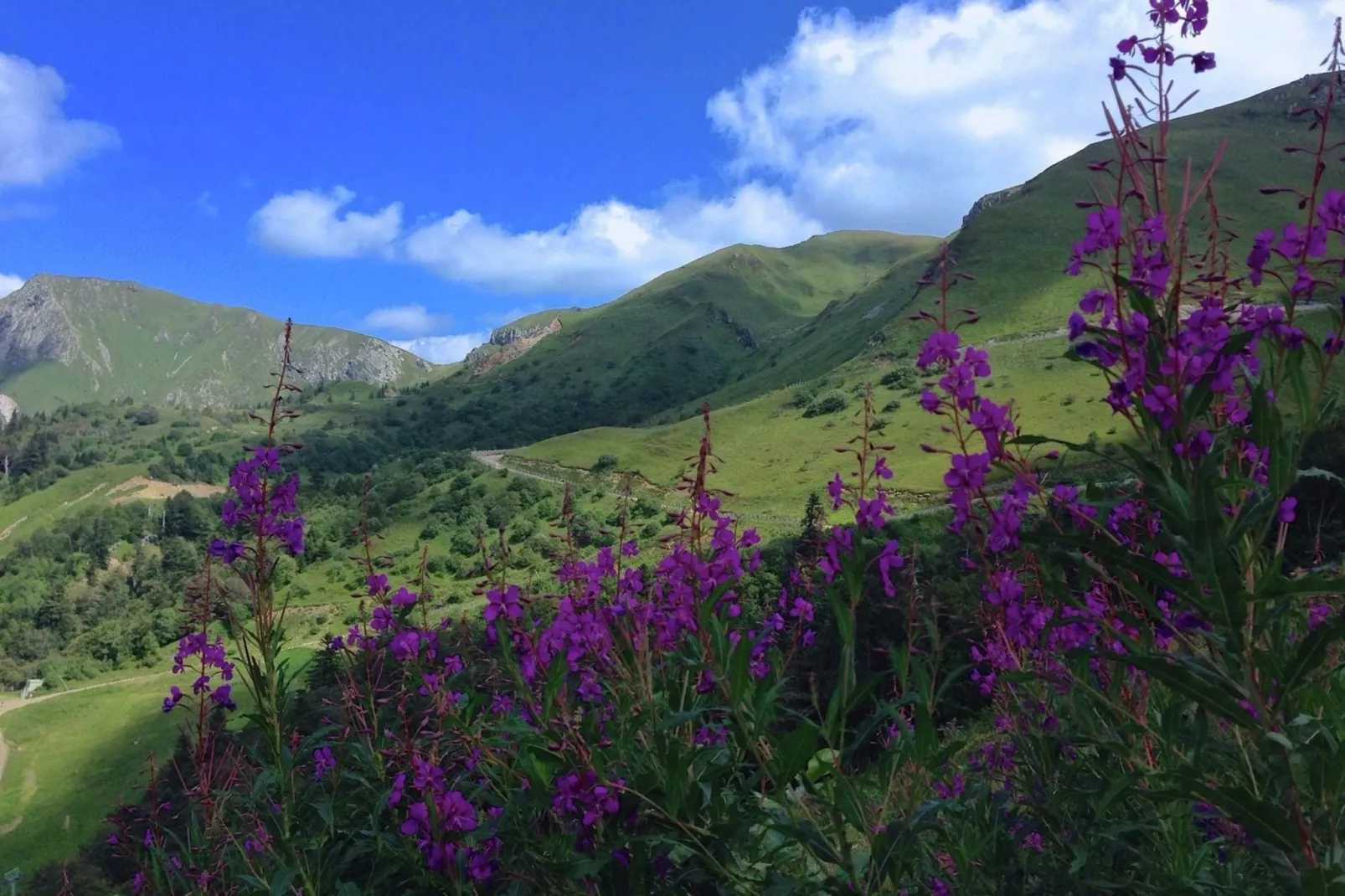 Le domaine d'Hypolite-Areas summer 5km