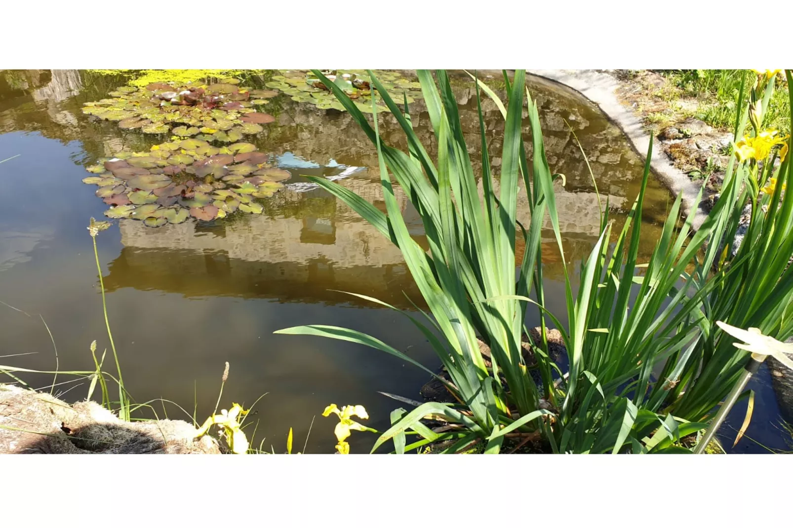 Le domaine d'Hypolite-Gardens summer