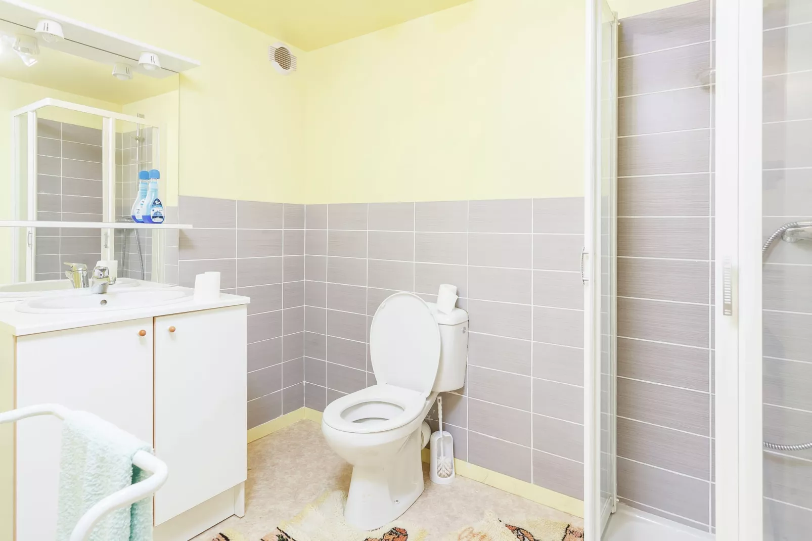 Authentique maison auvergnate-Bathroom