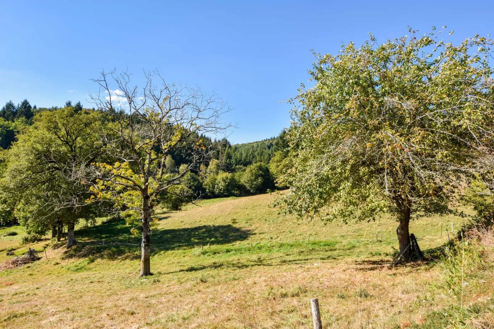 Authentique maison auvergnate-View summer