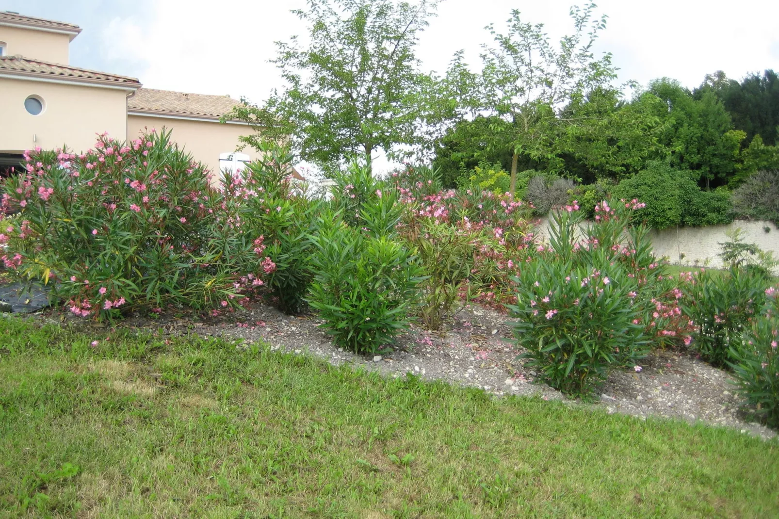 Cottage Côte Atlantique-Gardens summer