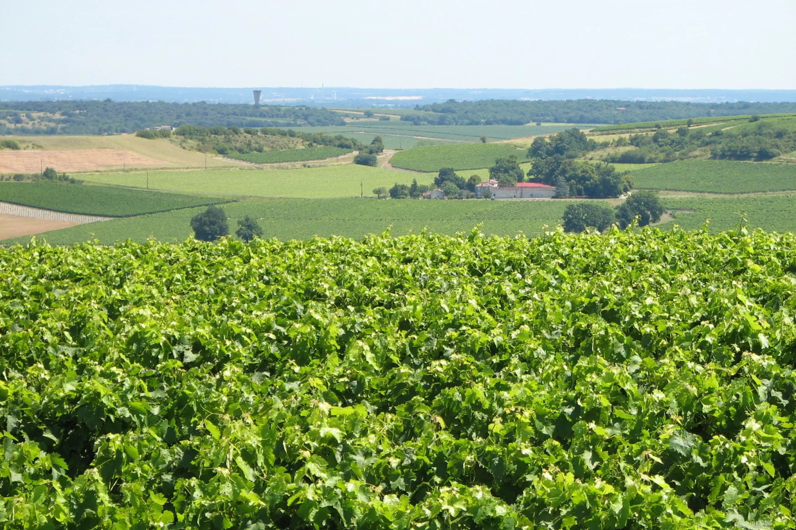 Cottage Côte Atlantique-Aussicht Sommer