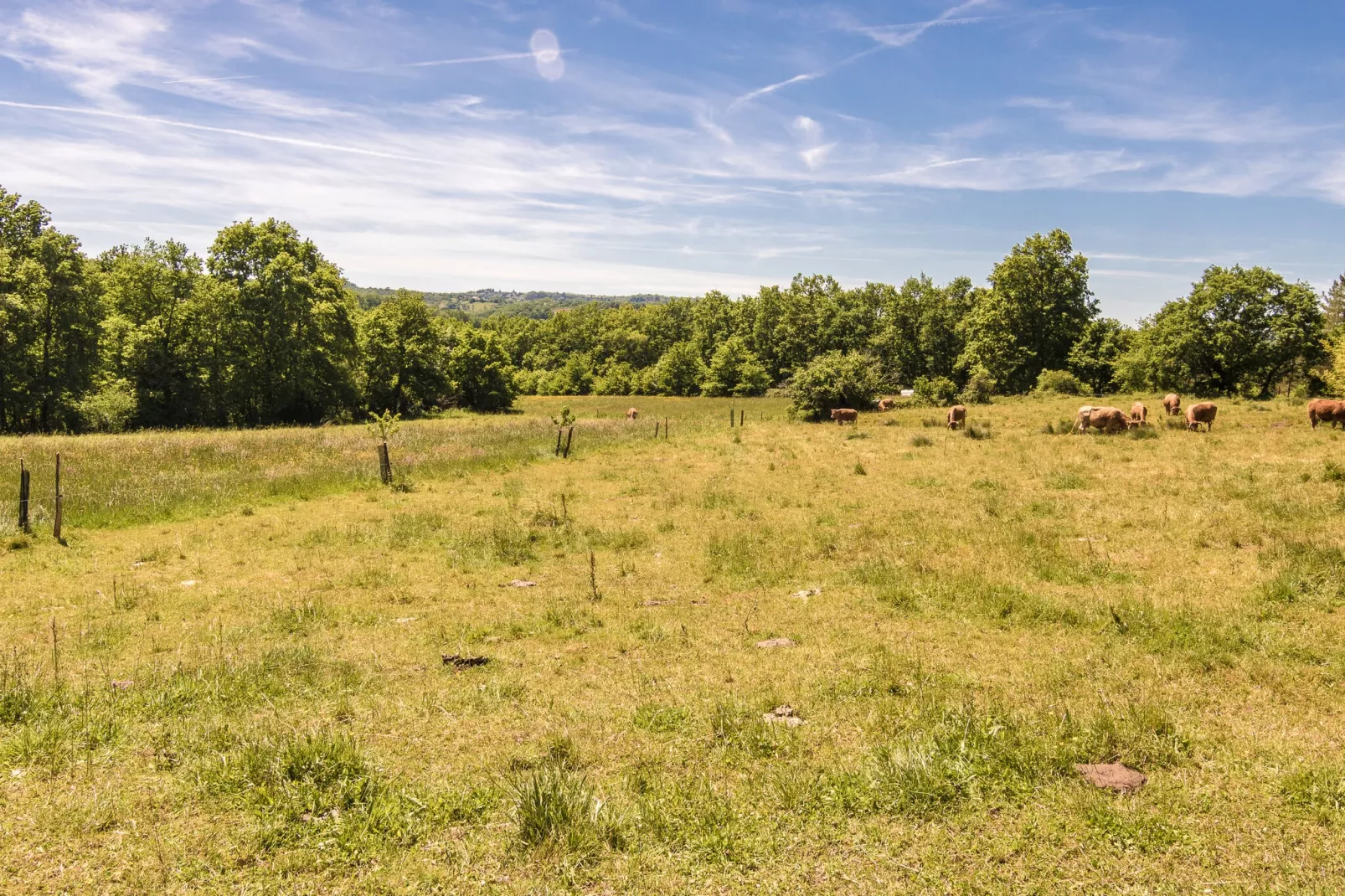Villa de l'Yssandonnais-View summer