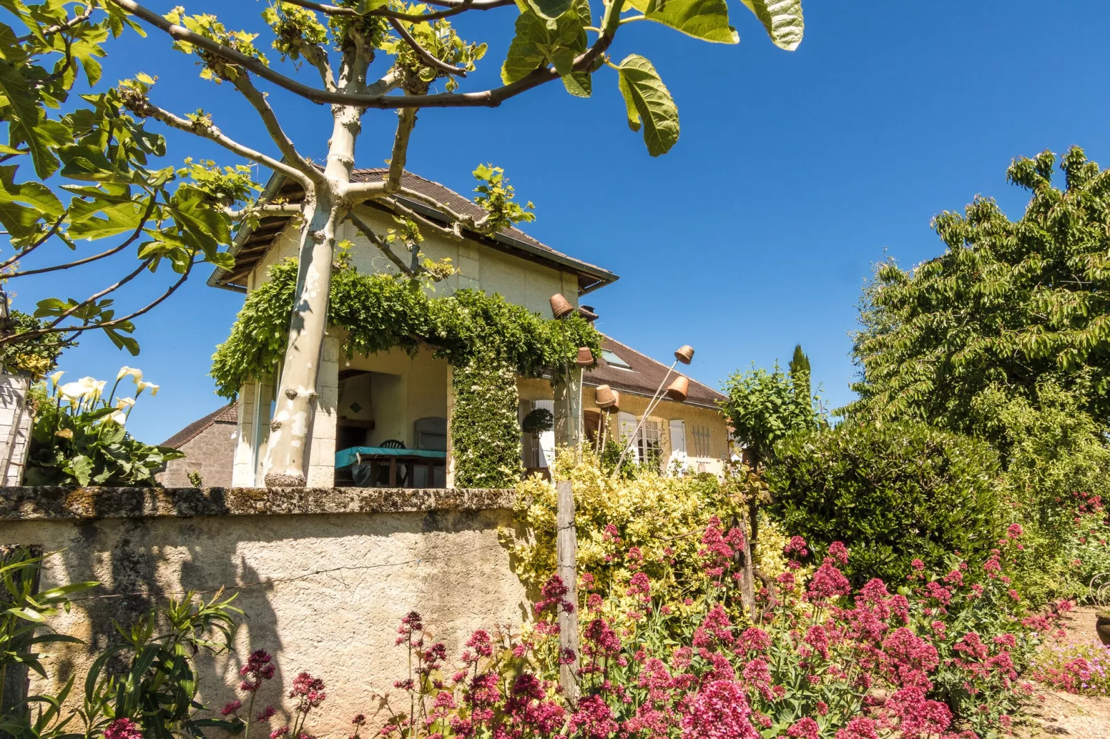 Villa de l'Yssandonnais-Gardens summer