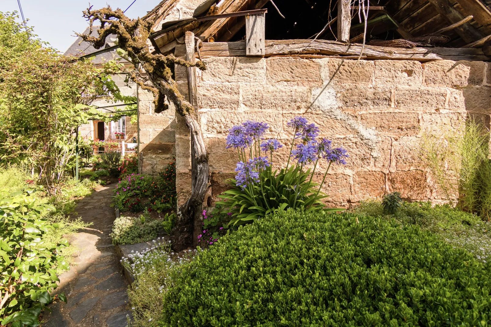 Gite La Porcherie-Gardens summer