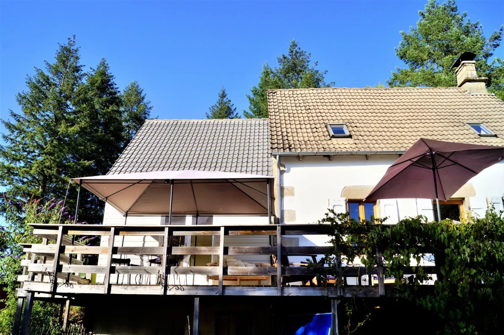 Fraise Du Bois-Exterior summer
