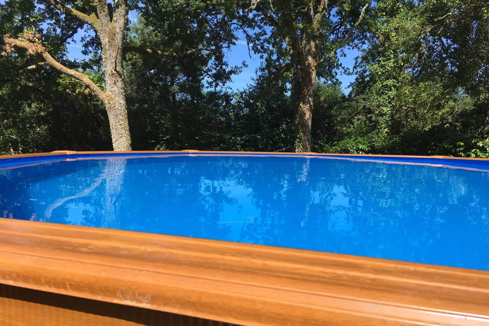 Fraise Du Bois-Pool