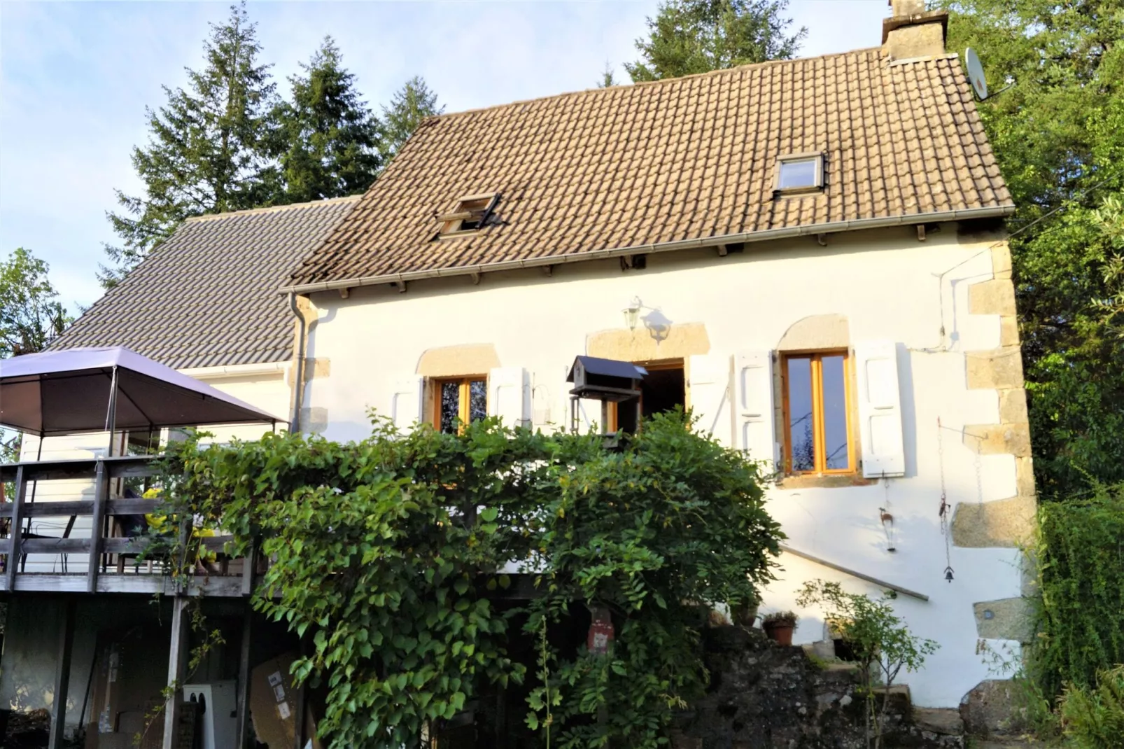 Fraise Du Bois-Exterior summer