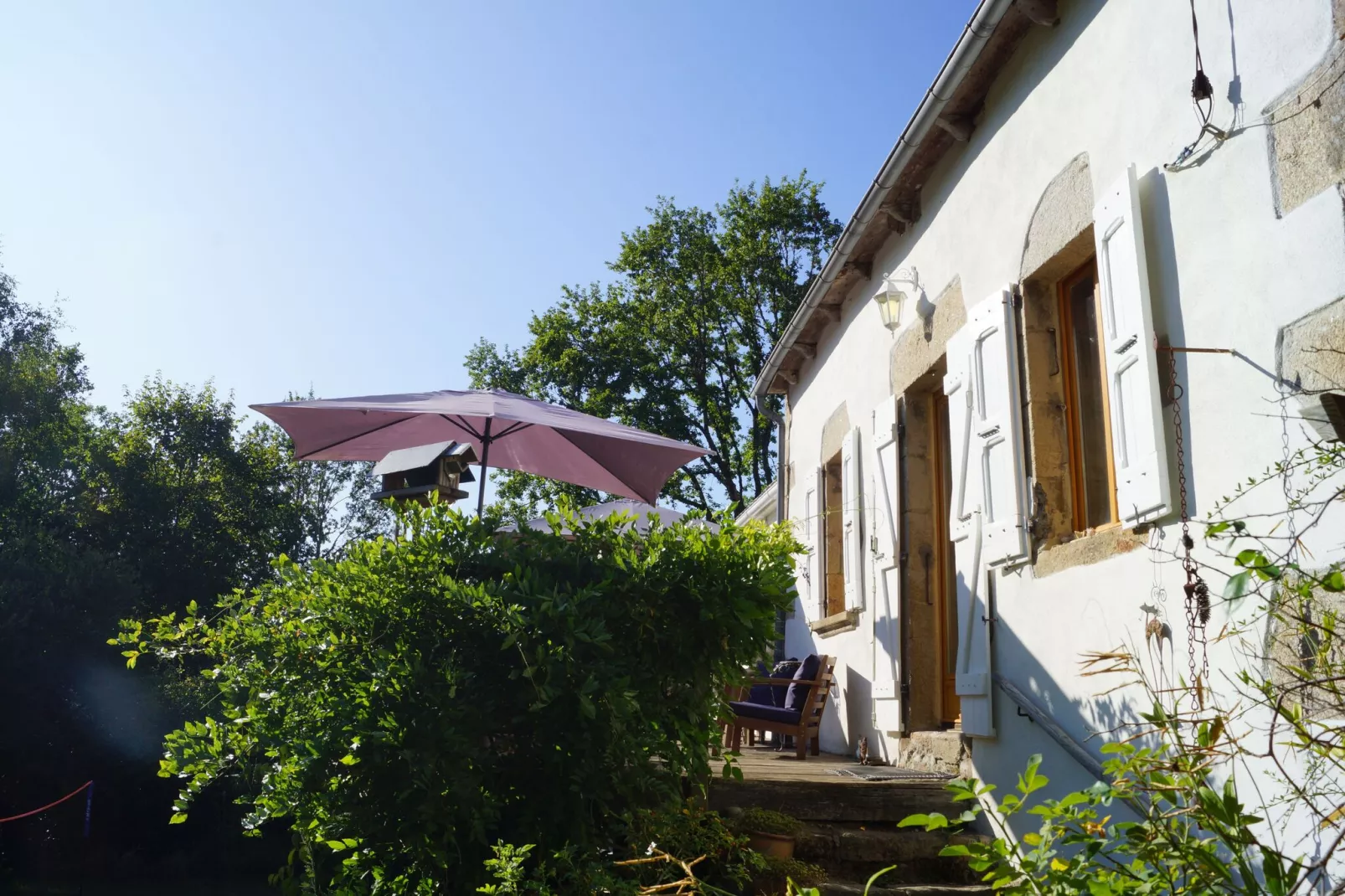 Fraise Du Bois-Exterior summer