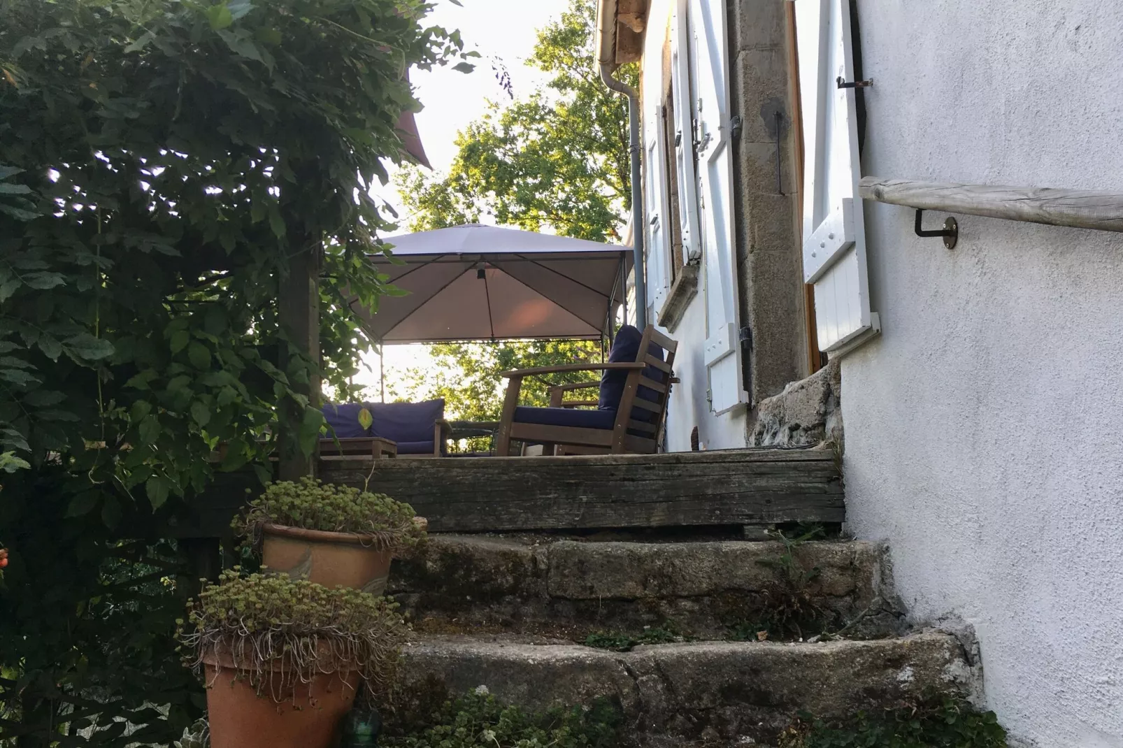 Fraise Du Bois-Exterior summer