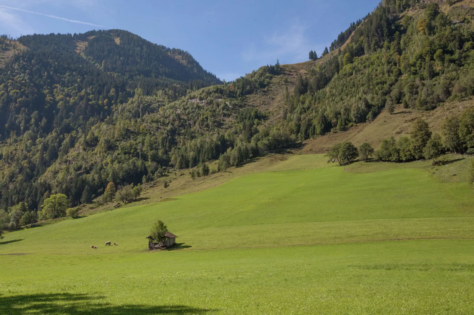 Landhaus Hollin-Areas summer 1km