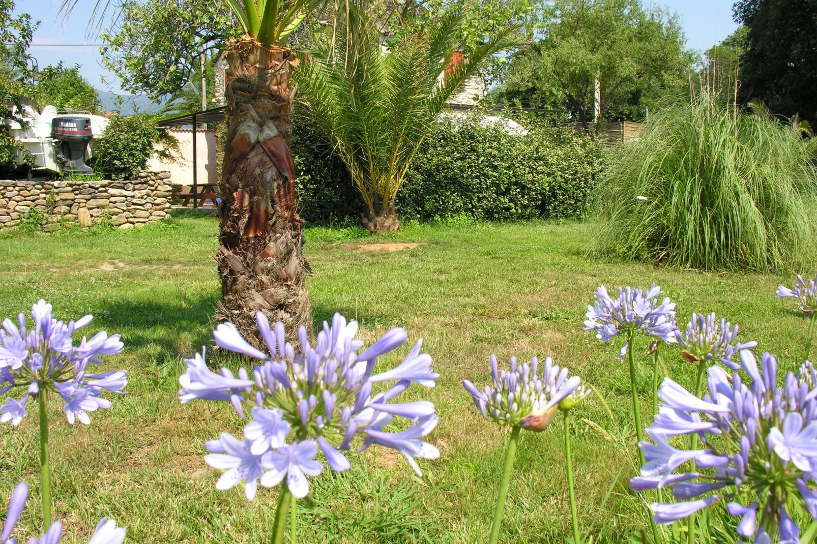 Indigo-Gardens summer