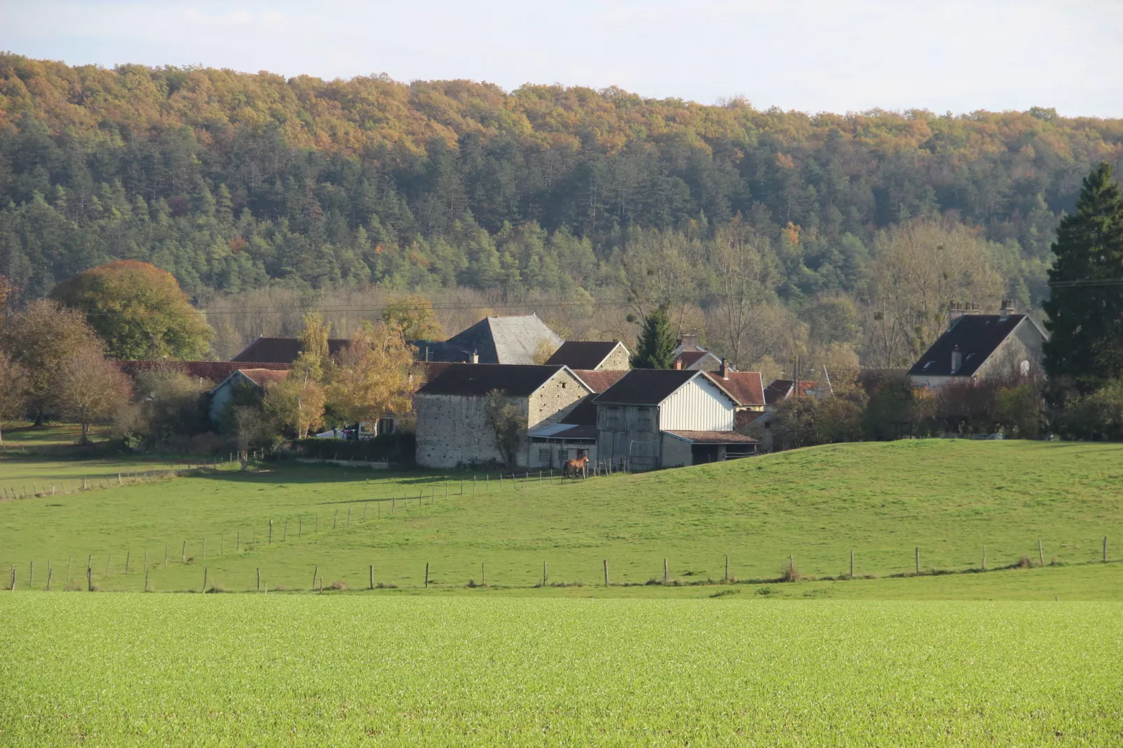 Le Commandant-Areas summer 1km