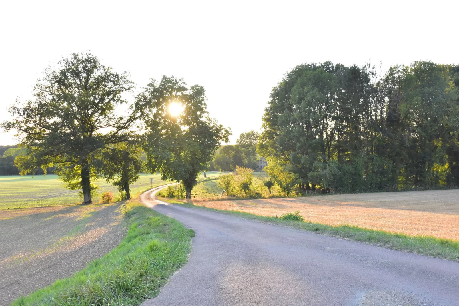 Le Commandant-Areas summer 1km