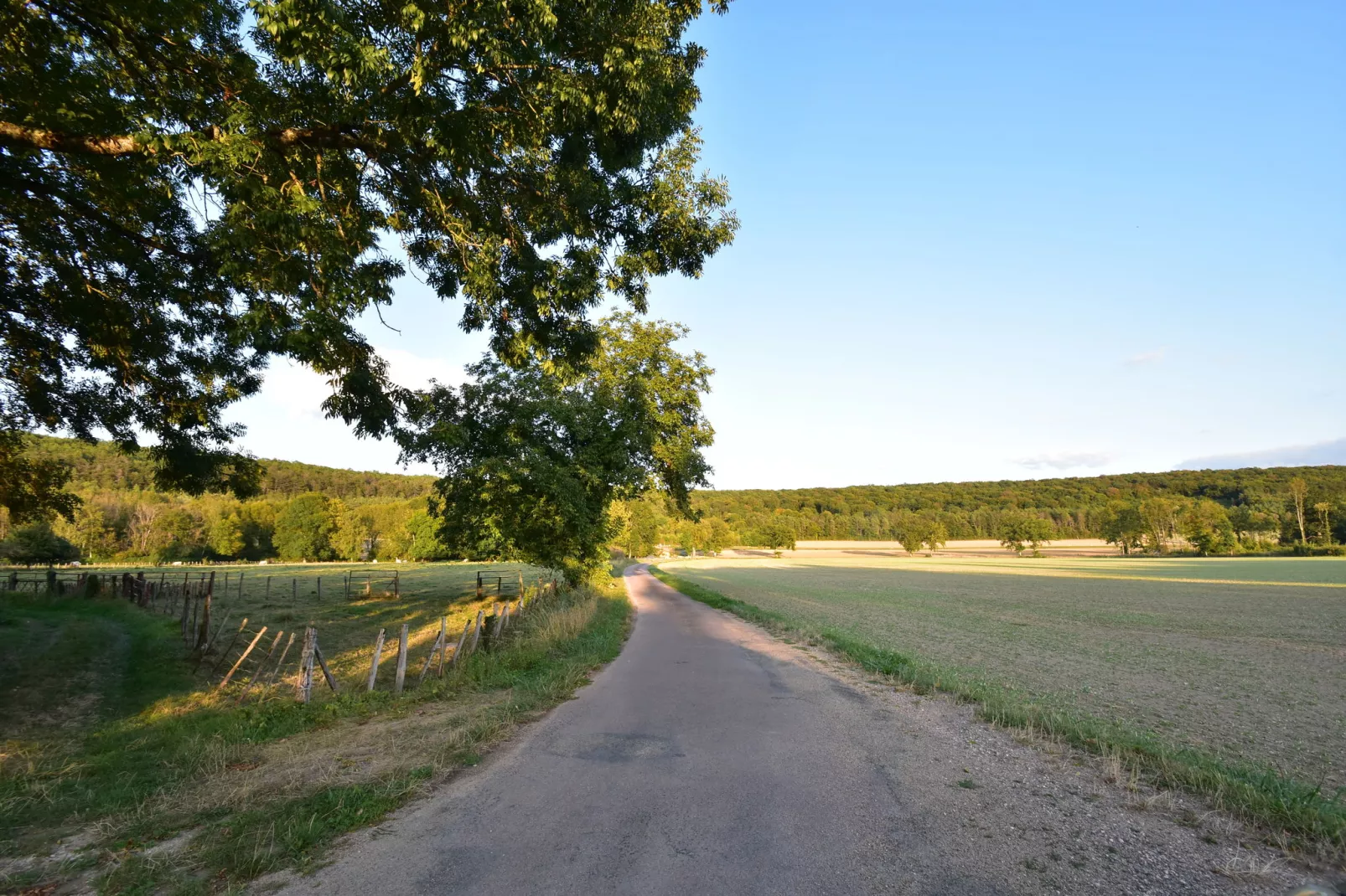 Le Commandant-Areas summer 1km
