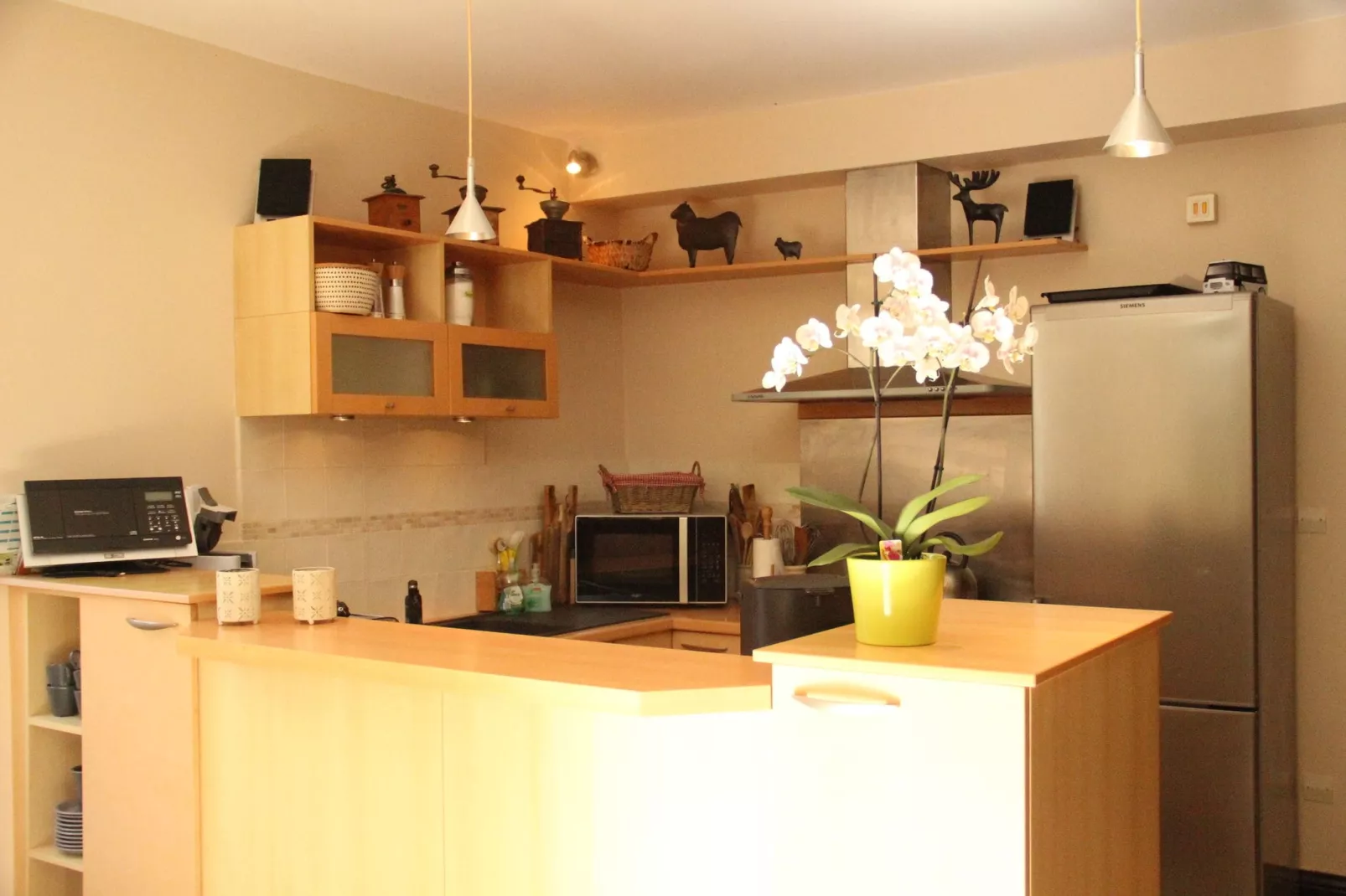 Maison de Vacances Bouix-Kitchen