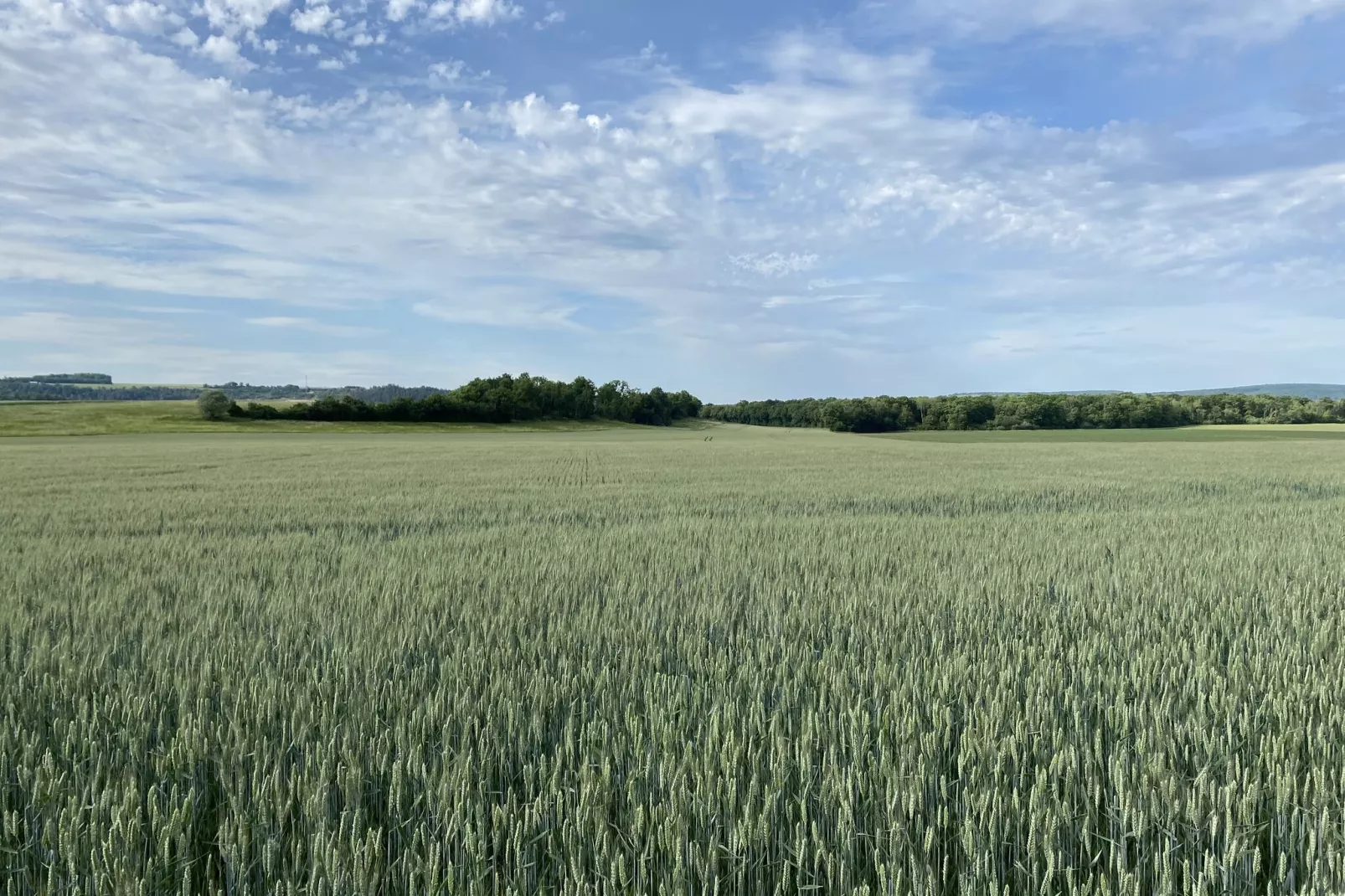 Maison de Vacances Bouix-Areas summer 5km
