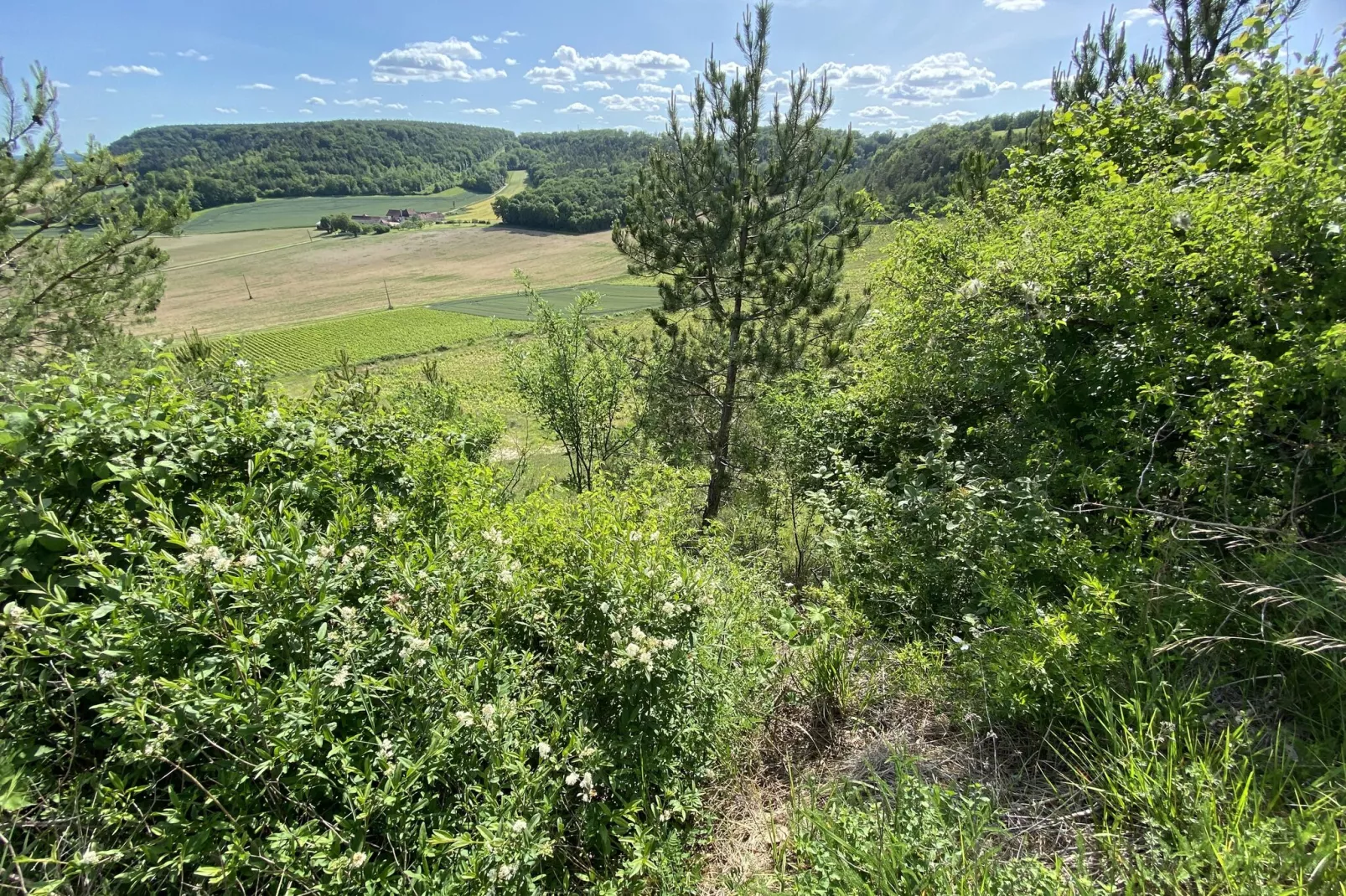 Maison de Vacances Bouix-Areas summer 5km