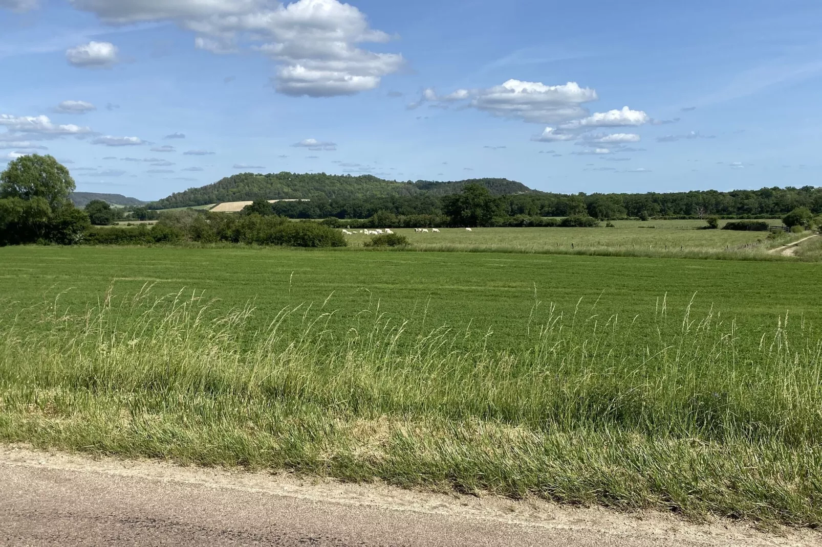 Maison de Vacances Bouix-Areas summer 5km