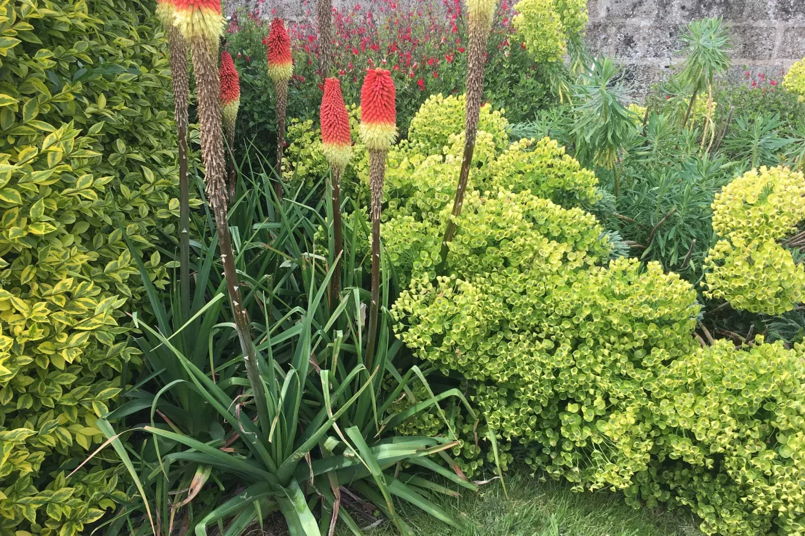 Duplex 1er et 2ème étage Saint-Brieuc-Gardens summer