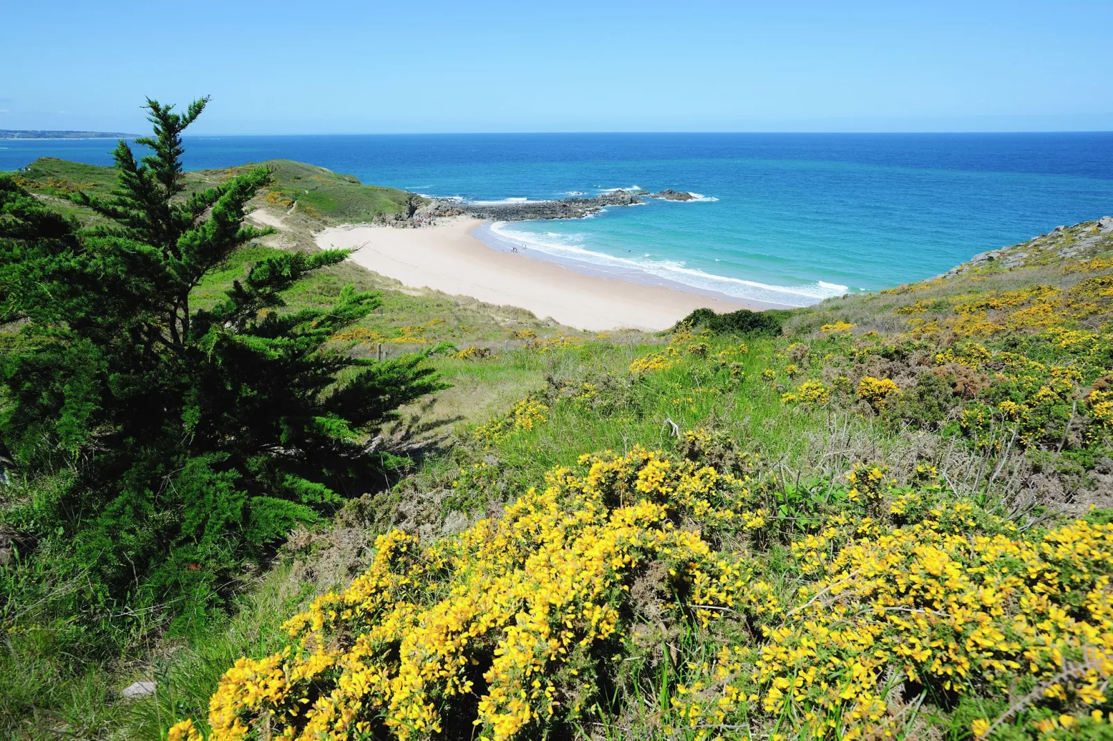Plurien-Areas summer 20km