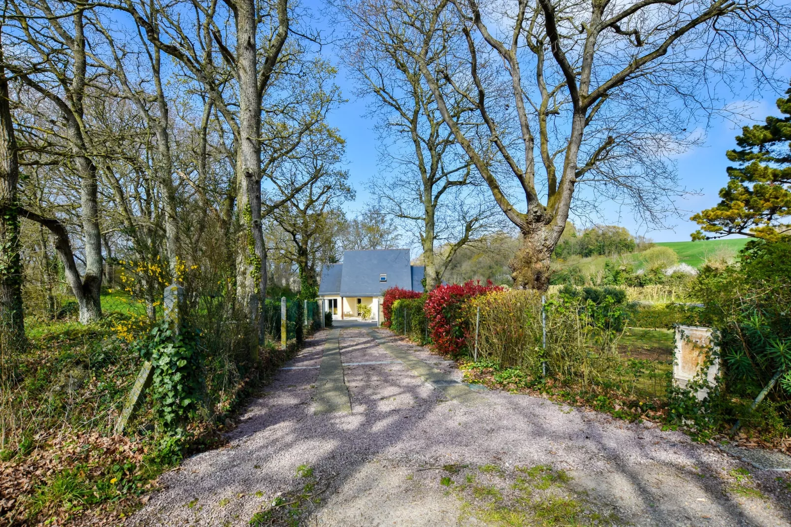 Plurien-Areas summer 1km