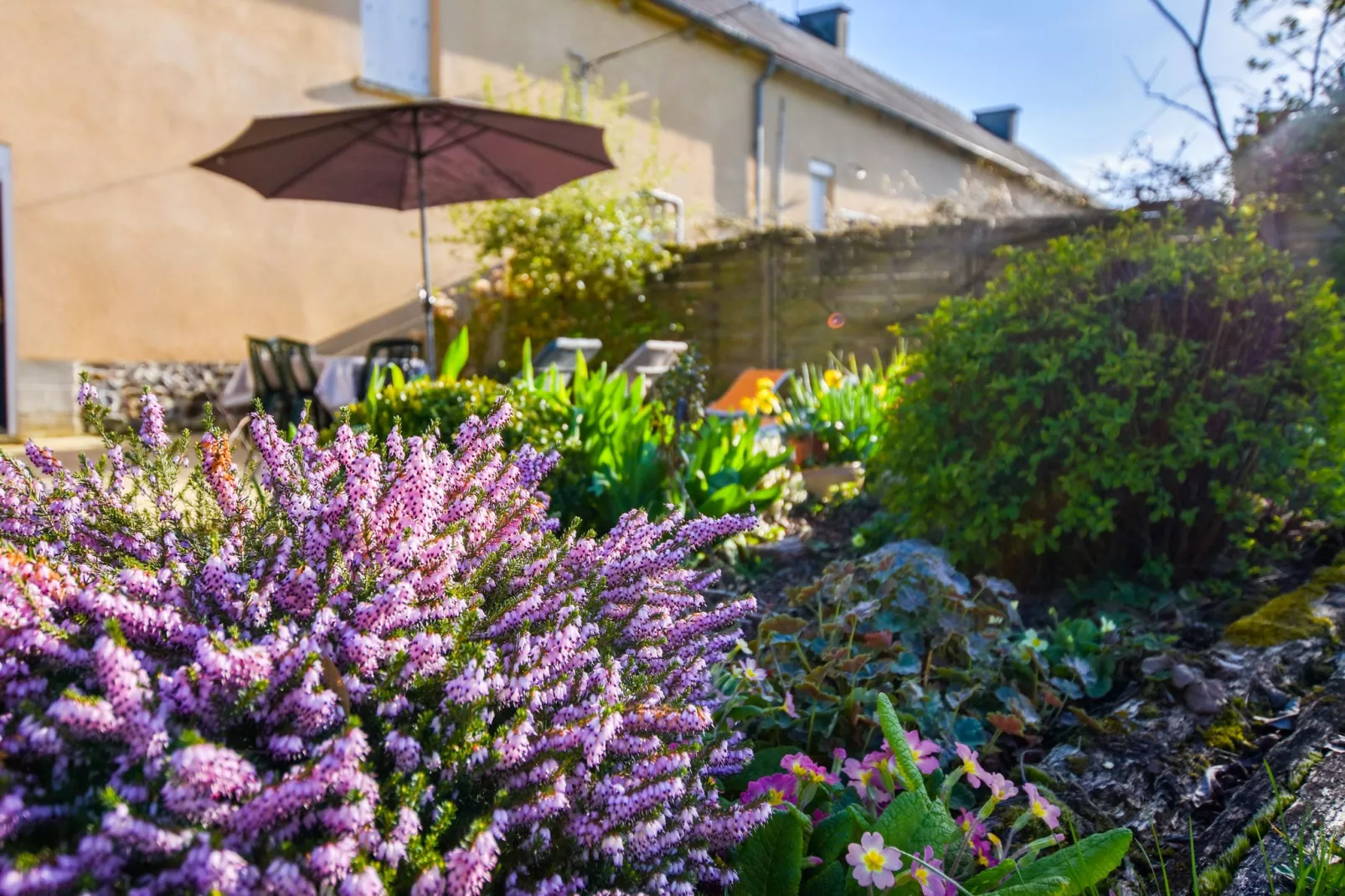 Jolie maison en pays de Rance-Jardin d'été