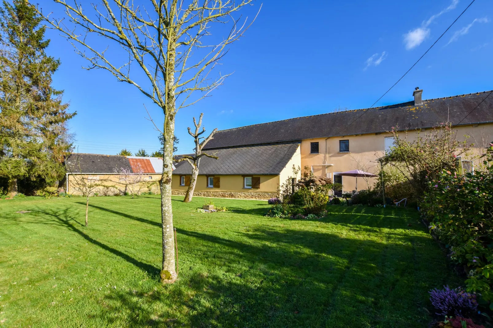 Jolie maison en pays de Rance-Jardin d'été