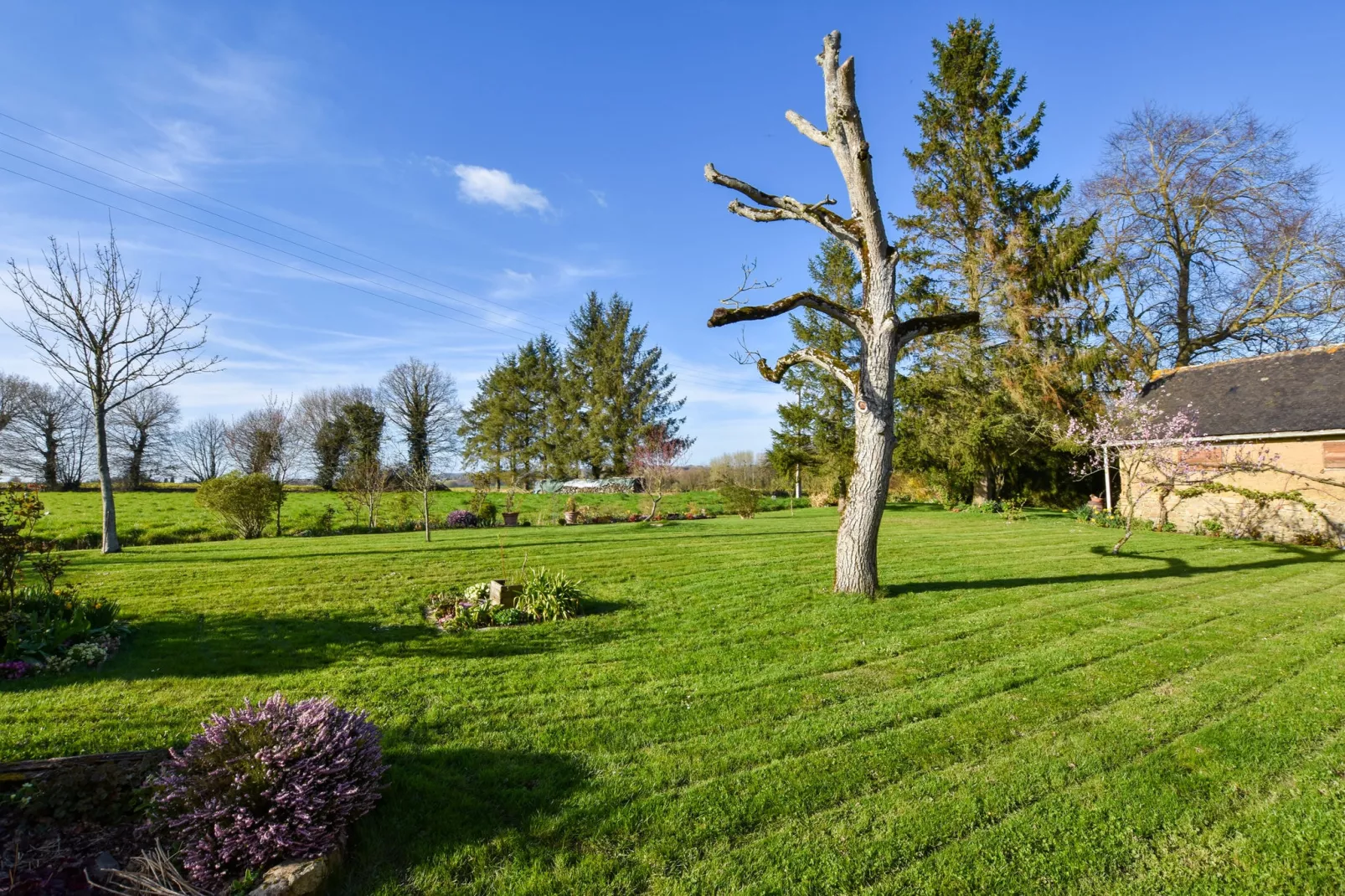 Jolie maison en pays de Rance-Jardin d'été